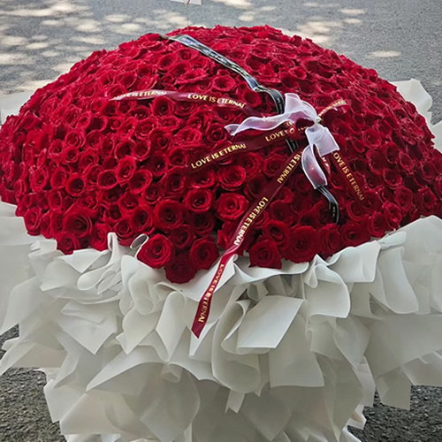 鲜花：长相厮守 520枝红玫瑰