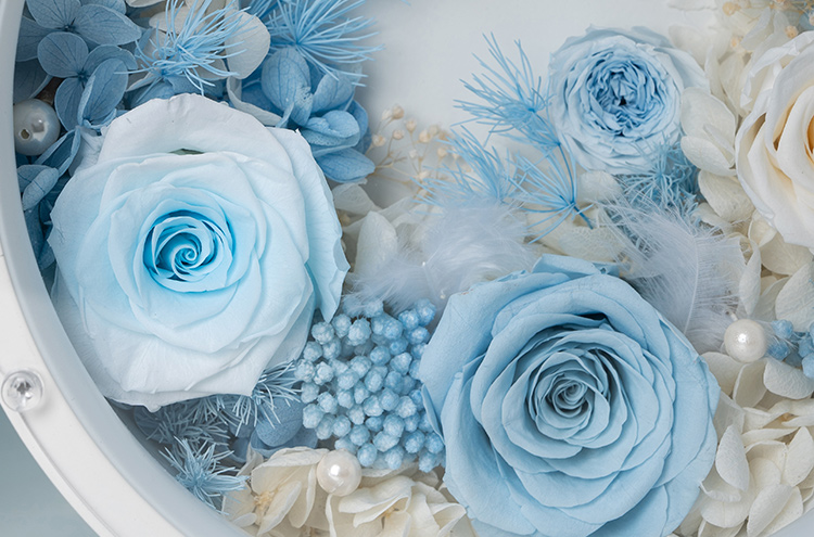 永生花玫瑰白4cm、蓝色奥斯丁玫瑰、蓝白色玫瑰5-6、蓝色玫瑰5-6，浅蓝色永生绣球、白色绣球、米花蓝色、白色羊齿叶、白色珍珠、白色满天星、蓝色蓬莱松、白色羽毛